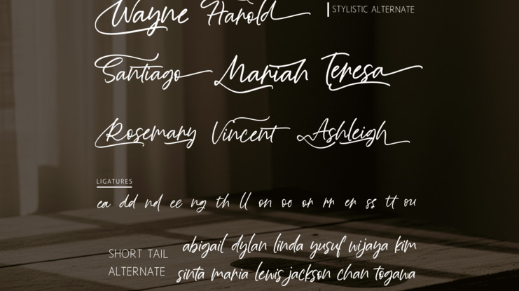 Moonlight Dreaming Handwritten Script Font