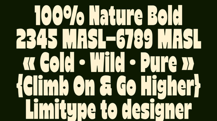 Reiger Bold Condensed Font