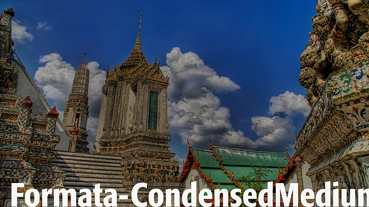 Formata-Condensed Font Family