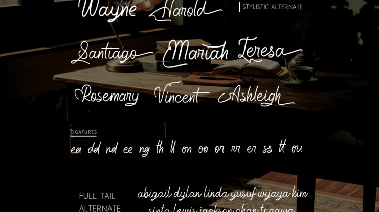 Aleandra on the Soundwaves free Font