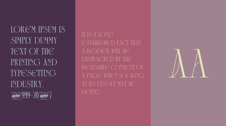 Collectivo Font