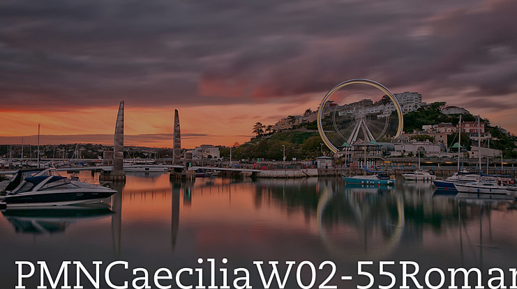 PMNCaeciliaW02-55Roman Font