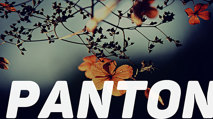 Panton Font Family