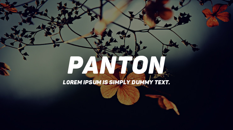 Panton Font Family