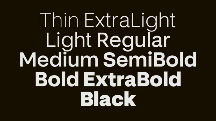 Chamer Font Family