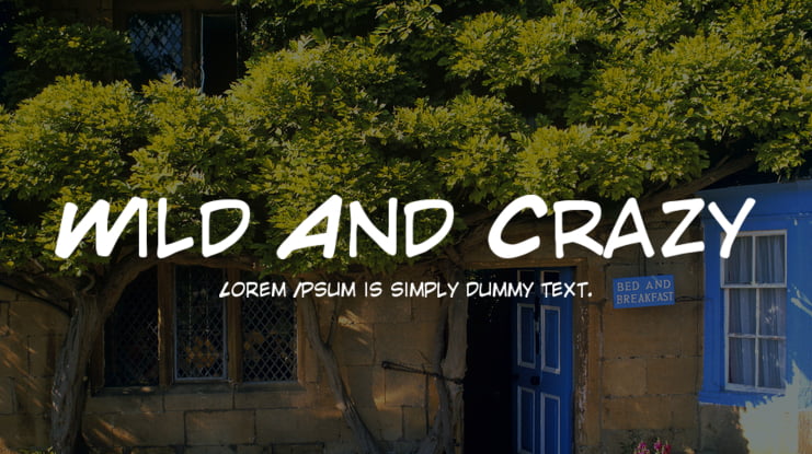 Wild And Crazy Font