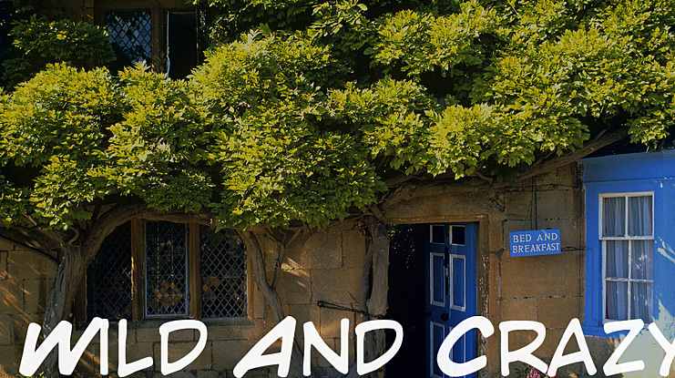 Wild And Crazy Font