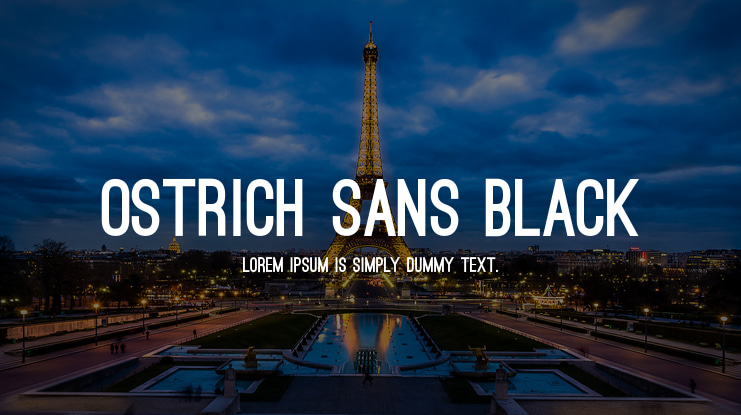 Ostrich Sans Black Font