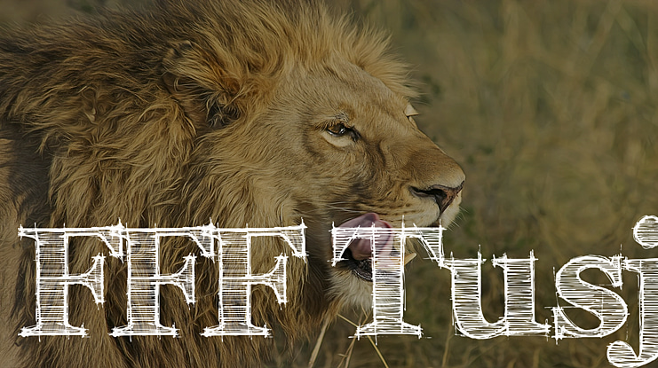 FFF Tusj Font