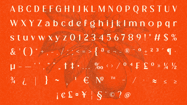 Cranio Modern Sans Serif Display Font 