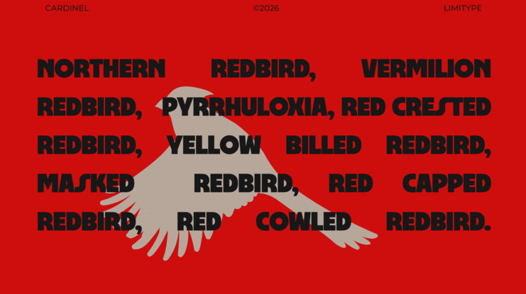 Cardinel Bold Font