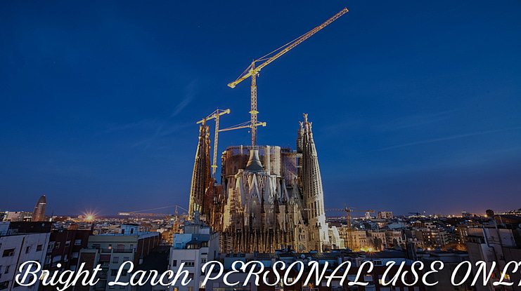 Bright Larch PERSONAL USE ONLY Font