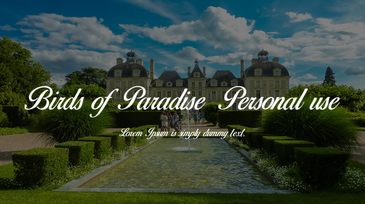 Birds of Paradise  Personal use Font