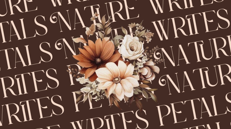 Diseva Font