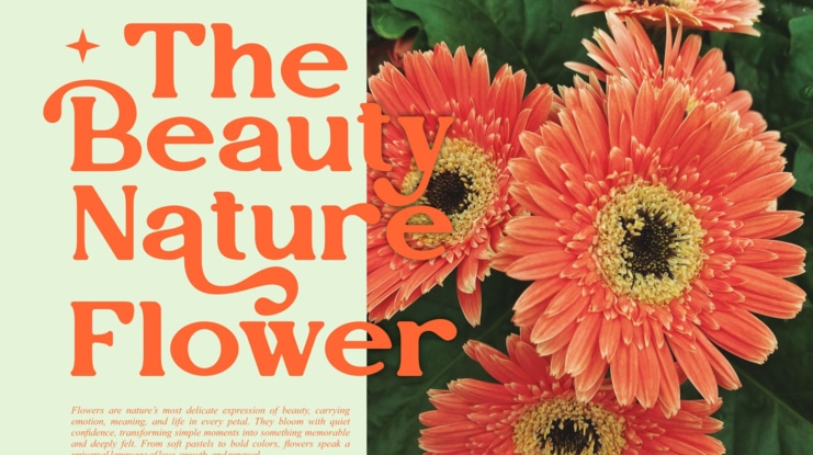 Vegitto Font