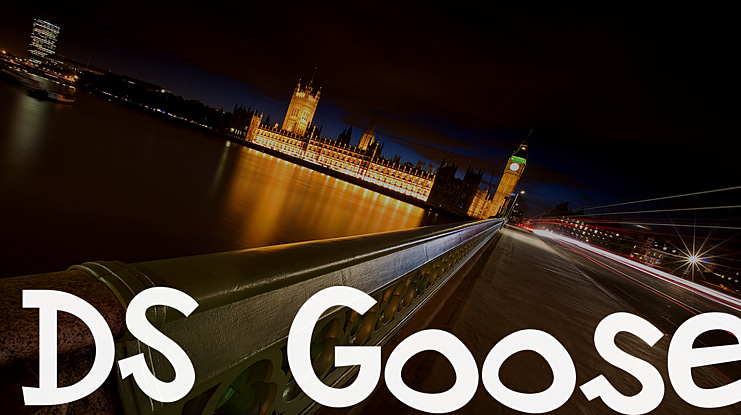 DS Goose Font