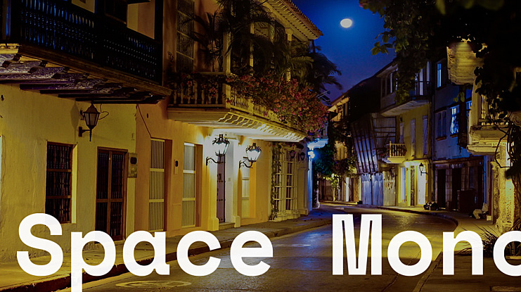 Space Mono Font Family