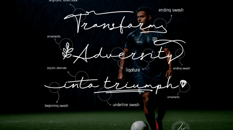 Moonsilk Personal Use Only Font