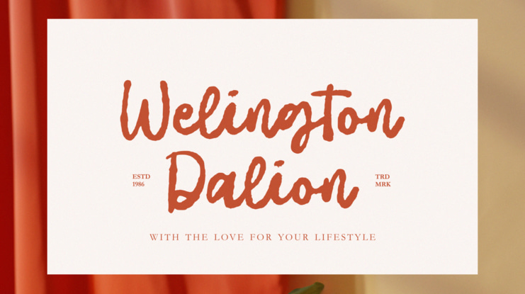 Insight Baltimore Font