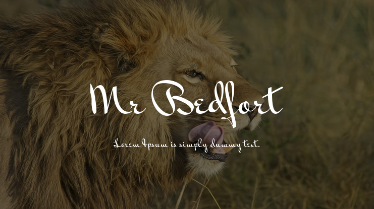 Mr Bedfort Font Family