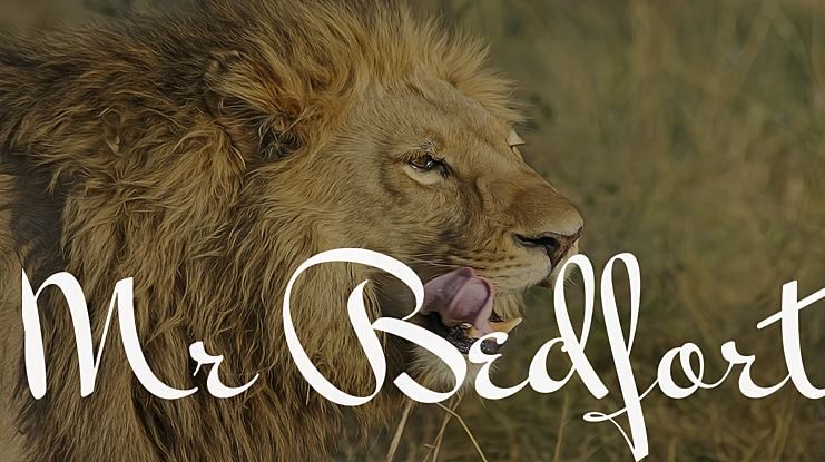 Mr Bedfort Font Family