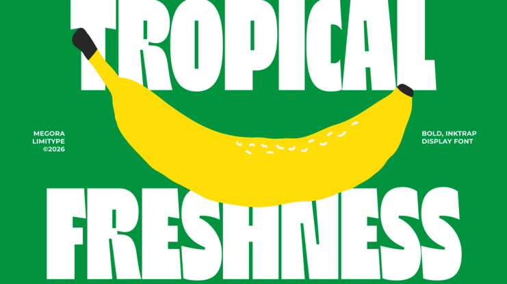 Megora Bold Inktrap Font