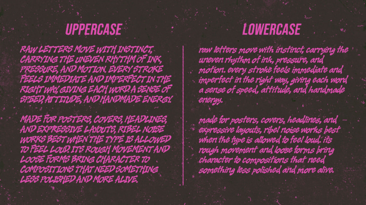 Ribel Noise Font
