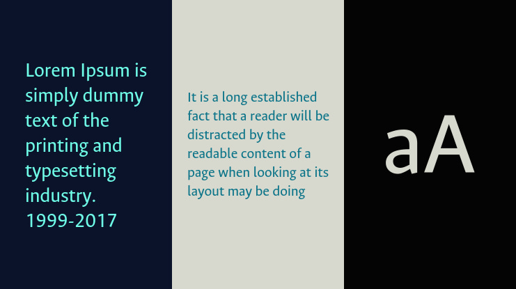 Ancizar Sans Font Family