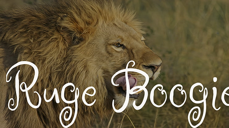Ruge Boogie Font Family