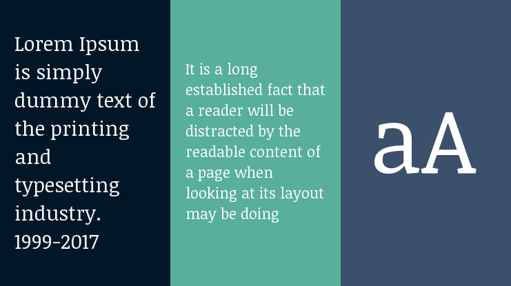 Noticia Text Font Family