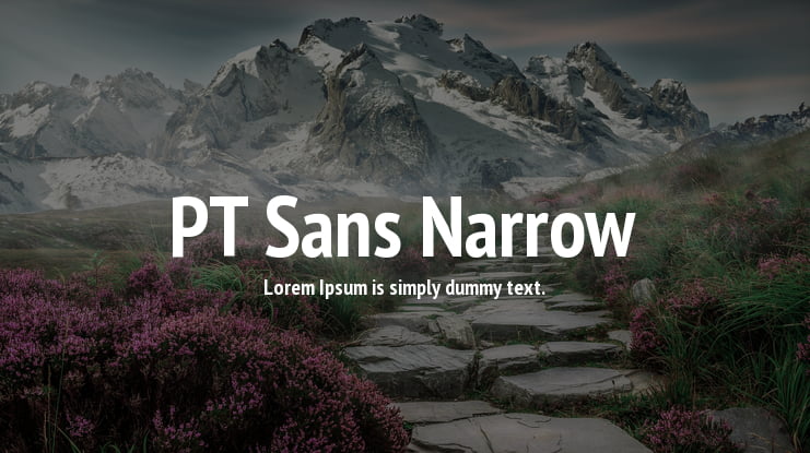 PT Sans Narrow Font Family