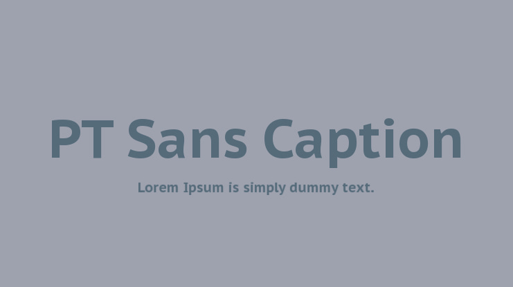 PT Sans Caption Font Family