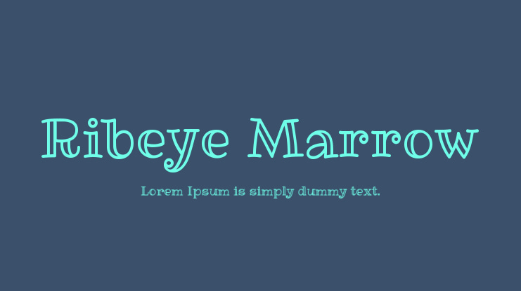 Ribeye Marrow Font
