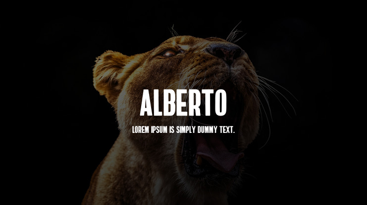 Alberto Font