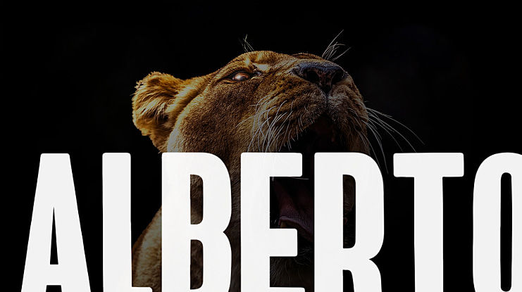 Alberto Font