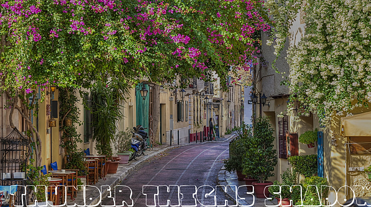 Thunder Thighs Font Family