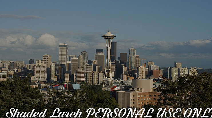 Shaded Larch PERSONAL USE ONLY Font