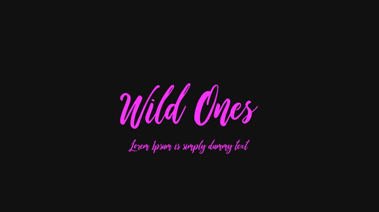 Wild Ones Font Family