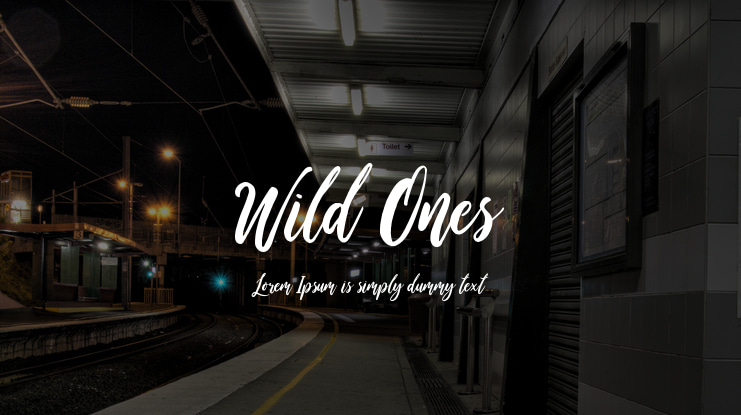 Wild Ones Font Family