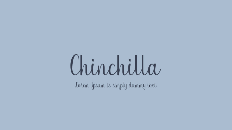 Chinchilla Font