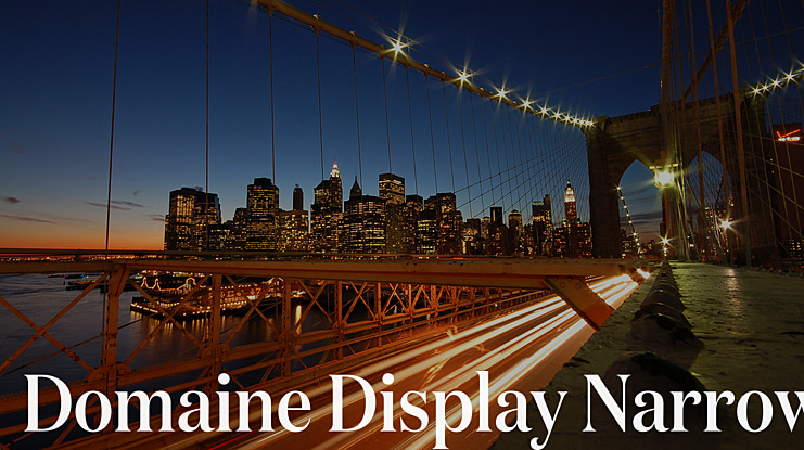 Domaine Display Narrow Font Family