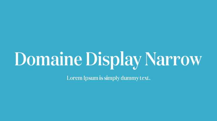 Domaine Display Narrow Font Family