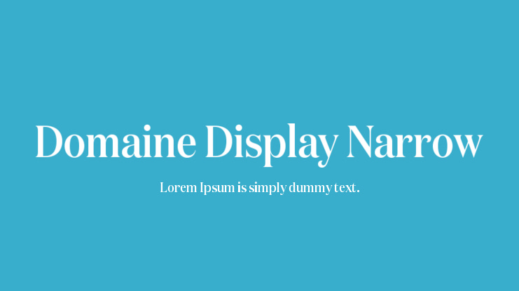 Domaine Display Narrow Font Family