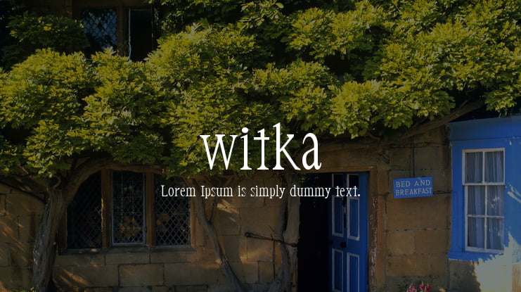 witka Font