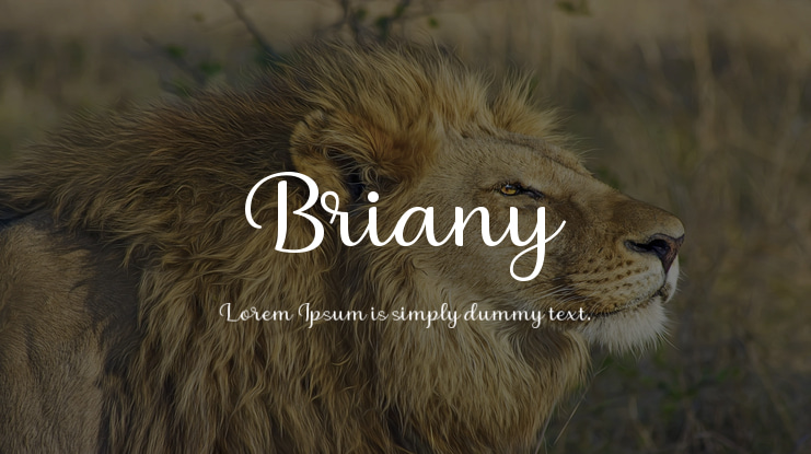 Briany Font Family