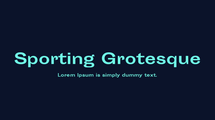 Sporting Grotesque Font Family