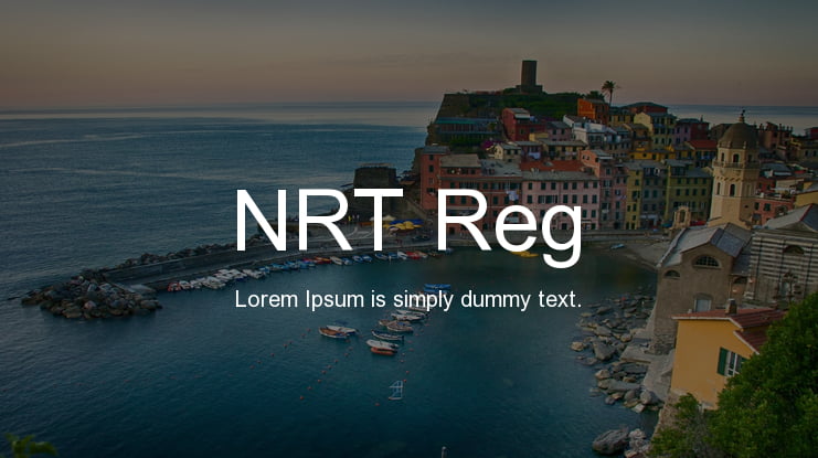 NRT Reg Font
