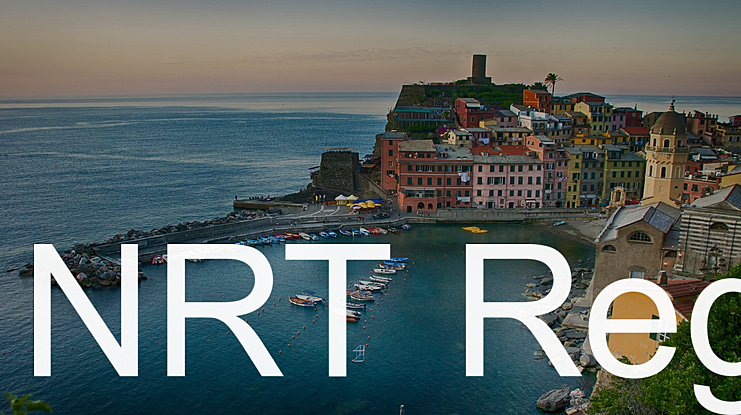 NRT Reg Font