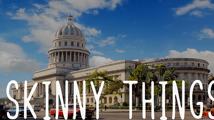 Skinny Things Font Family