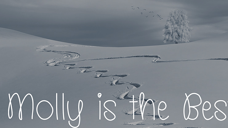 Molly is the Best Font